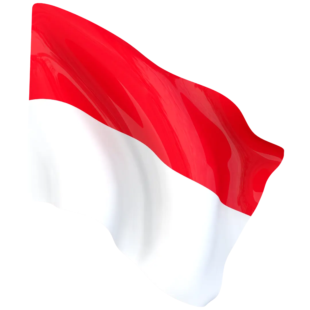 Drapeau national TONDRAPEAU