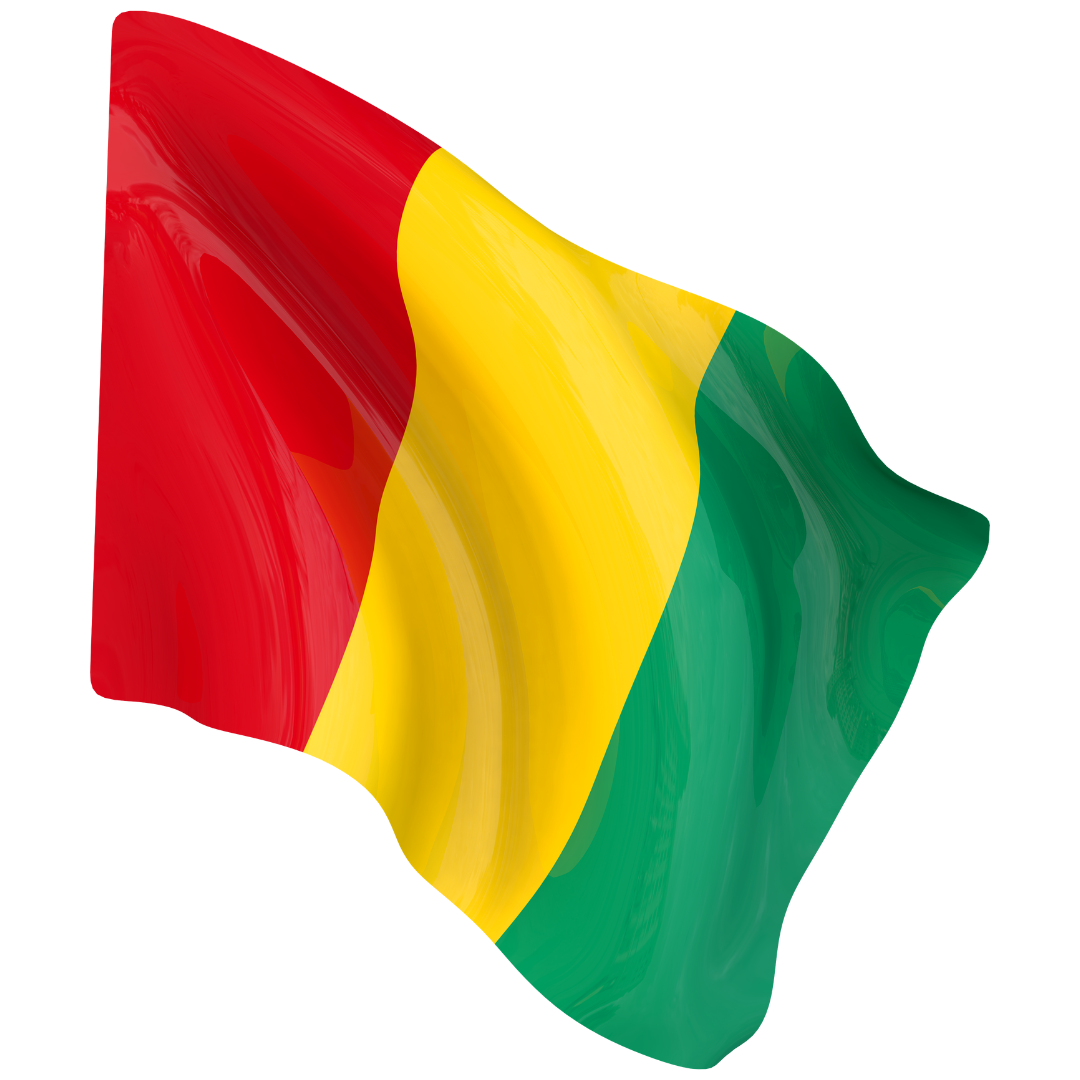Drapeau national TONDRAPEAU