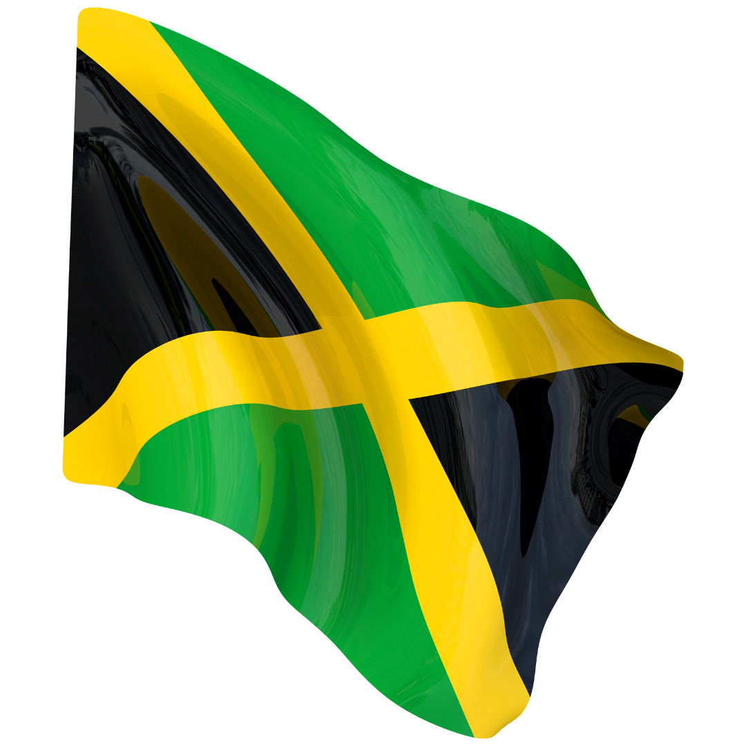Drapeau national TONDRAPEAU