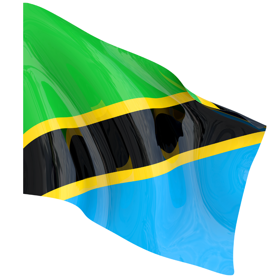 Drapeau national TONDRAPEAU