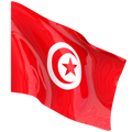 Drapeau national TONDRAPEAU