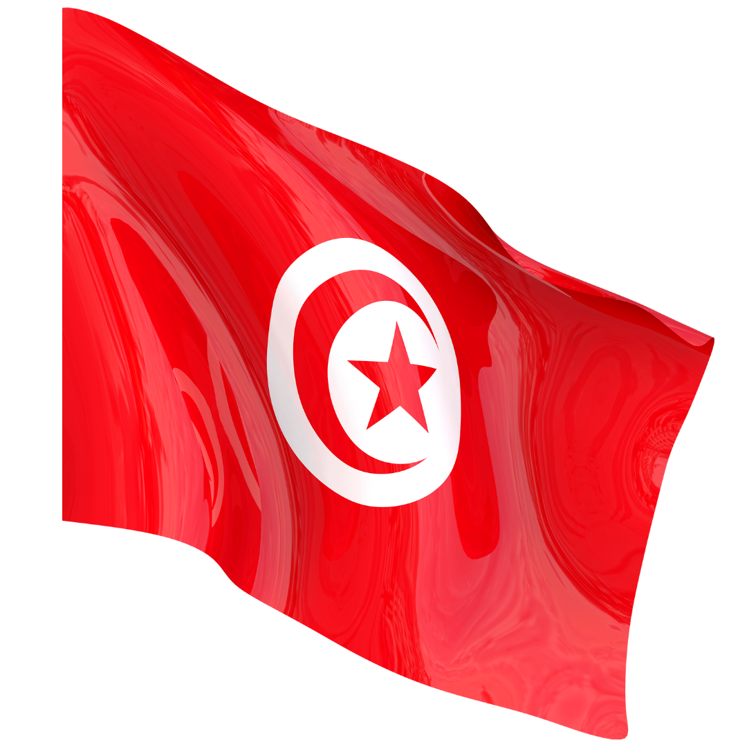Drapeau national TONDRAPEAU