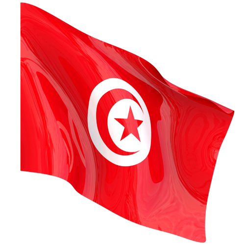 Drapeau national TONDRAPEAU