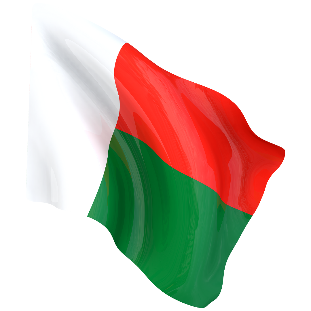Drapeau national TONDRAPEAU