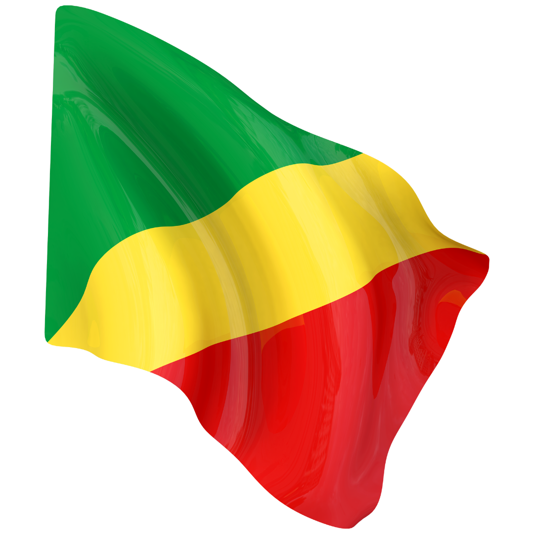 Drapeau national TONDRAPEAU