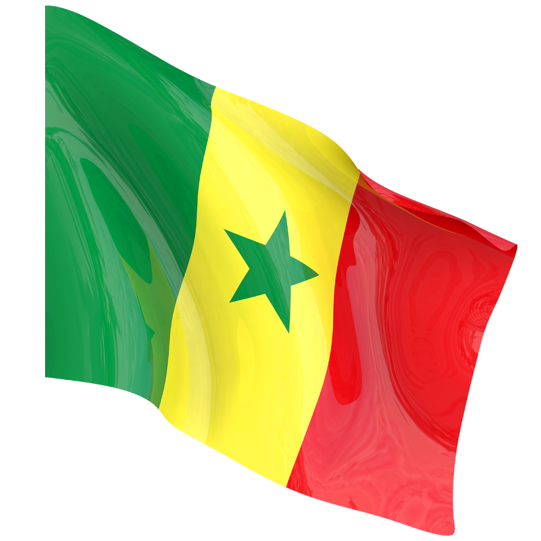 Drapeau national TONDRAPEAU