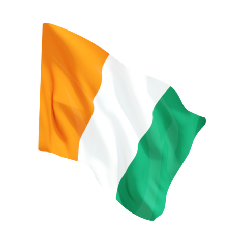Drapeau national TONDRAPEAU