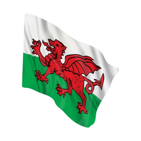 Drapeau national TONDRAPEAU